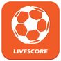 LiveScore 24 APK icon