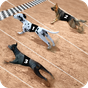 Racing Dog Simulator: Crazy Dog Racing Games 
