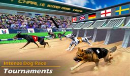 Gambar game balap anjing nyata simulator balap anjing 5