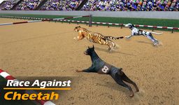 Gambar game balap anjing nyata simulator balap anjing 3