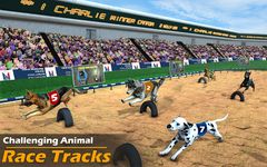 Gambar game balap anjing nyata simulator balap anjing 1