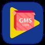 APK-иконка GMS Installer