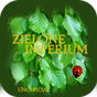 Zielone Imperium apk icon