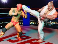 Gambar Pro Wrestling Game: Fighting Game 2020 5