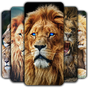 Иконка Lion Wallpaper 