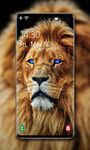 Lion Wallpaper  ekran görüntüsü APK 6