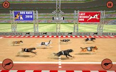 Ultimate Dog Racing Game image 9