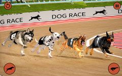 Ultimate Dog Racing Game image 10