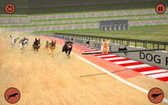 Ultimate Dog Racing Game image 12