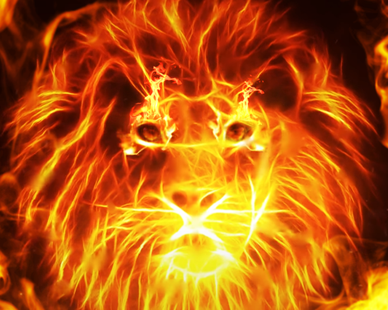 Fire Wallpaper And Keyboard Fire Lion Apk Free Download App For Android