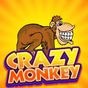 APK-иконка Crazy Monkey