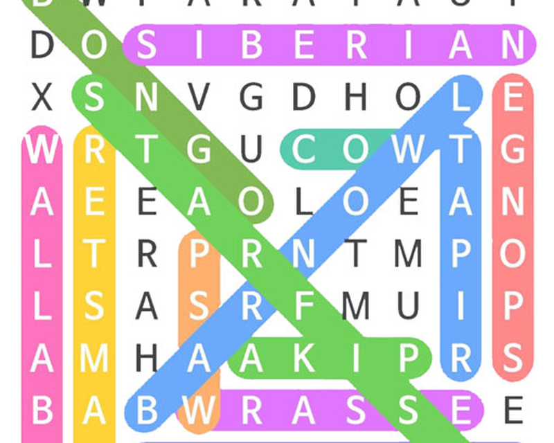 Block Words Search Classic Puzzle Game Android Free Download Block Words Search Classic Puzzle Game App Shirer Ashden