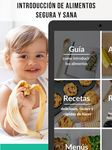 BLW Ideas - Introducción de Alimentos y Recetas captura de pantalla apk 8