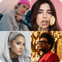 Guess the Singer APK