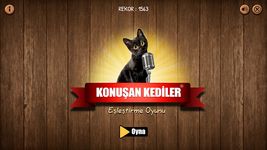 Konuşan Kediler Eşleştirme Oyunu ekran görüntüsü APK 