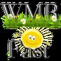 WMRFast - эффективная раскрутка проектов APK