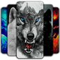 Wolf Wallpaper  icon