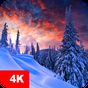 Fondos de pantalla de inverno 4K