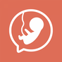Ícone do apk Fala Bebê - Gravidez semana a semana (Alô Mamãe)