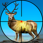 Wild Animal Safari Hunting 3D:Sniper Shooting Game APK