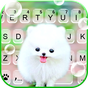 Ikon Latar Belakang Keyboard Fluffy Cute Dog