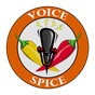 Ikon apk Voice Spice Online Recorder