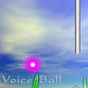 Voice Ball