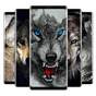 Wolf Wallpapers & Wolves Background HD APK