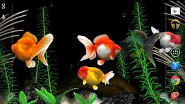 Tangkapan layar apk Gold Fish 3D Live Wallpaper 5