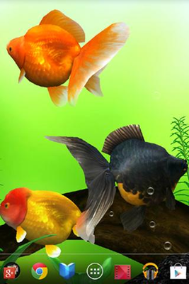 Androidの 金魚 Gold Fish 3d ライブ壁紙 アプリ 金魚 Gold Fish 3d ライブ壁紙 を無料ダウンロード
