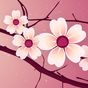 Ikona Sakura Live Wallpaper