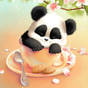 Sleepy Panda Wallpaper apk icon