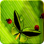 Friendly Bugs Free L.Wallpaper apk icon