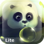 Icône apk Panda Dumpling Lite