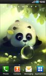 Panda Dumpling Lite image 2