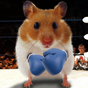 Ícone do apk Hamster engraçado tela rachada