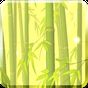 Bamboo Forest Free L.Wallpaper APK