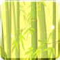 Bamboo Forest Free L.Wallpaper APK