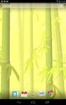 Imagen 3 de Bamboo Forest Free L.Wallpaper