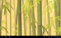 Imagen 2 de Bamboo Forest Free L.Wallpaper