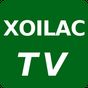 XOILAC TV - Xem Bong Da tivi APK