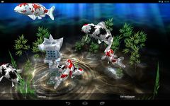 My 3D Fish II ekran görüntüsü APK 13
