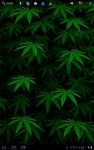 Gambar My Ganja Live Wallpaper 1