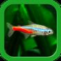 Tropical Fish Tank - Mini Aqua