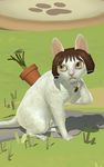 Kitty Cat Resort: Idle Cat-Raising Game ảnh màn hình apk 12