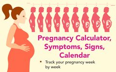 Pregnancy calculator, symptoms, signs, calendar screenshot apk 