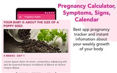 Скриншот 3 APK-версии Pregnancy calculator, symptoms, signs, calendar