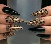 Stiletto Nails εικόνα 15