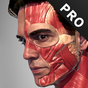Action Anatomy Pro - Anatomy Pose App for Artist의 apk 아이콘