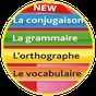 Orthographe et grammaire APK